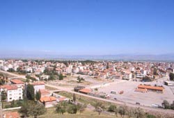 Başkanın zekâsı kazandırdı