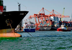 İhracat yapan il sayısı arttı