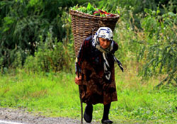 CAZİBE MERKEZİ!
