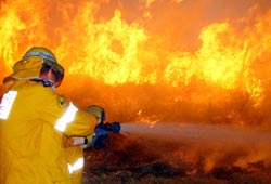 Orman yakana müebbet hapis