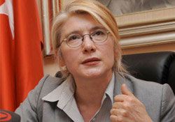 CHP'li Tarhan'dan Cumhurbaşkanı'na çağrı