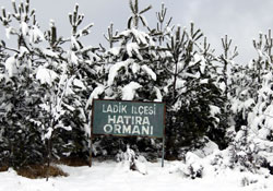 Kartpostalları aratmayan manzaralar