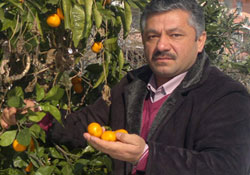 FINDIĞA YENİ ALTERNATİF