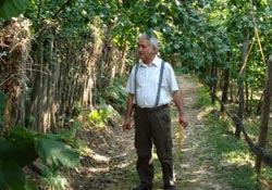 Fındık rekoltesi belirlenecek