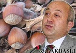 FINDIK TEPE TAKLAK!