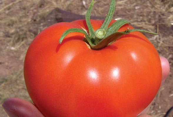 "Kaygılanacak bir durum yok"