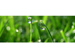 Tarım ve balıkçılar bu yıl daha çok kredi kullandı