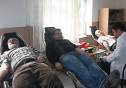 Gönüllü bağışçılar