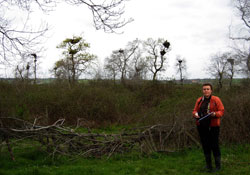 Yeşilırmak'ta sayım var