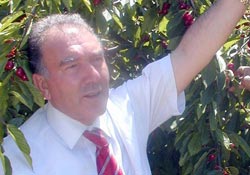 Amasya'dan Papa'ya kiraz
