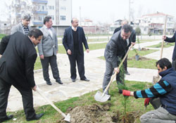 Daha yeşil bir 19 Mayıs için işbirliği