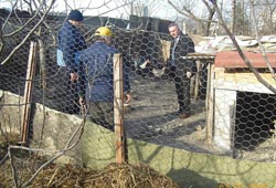 Atakum'dan kuş gribi önlemi