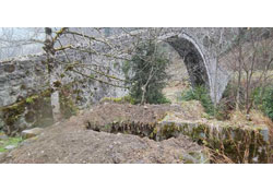 Mezarlara dadandılar