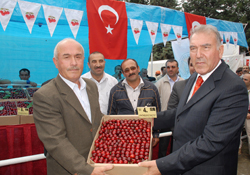 Birinci olan kiraz Papa'ypa gidecek