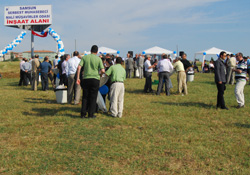 Muhasebeciler piknikte buluştu