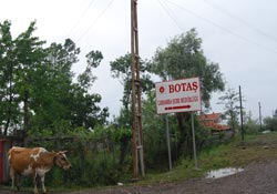 Santralciye tarla yok