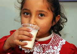 Öğrenciye süt dağıtımı bugün başlıyor