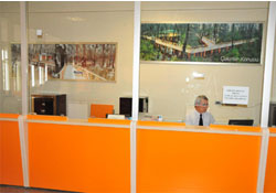 Emlak vezneleri mükellefleri bekliyor