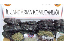 PKKya uyuşturucu darbesi
