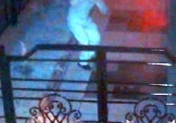 Hırsız, kamera karşısında ter döktü