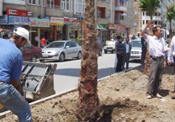 Bafra'da bulvar çalışması