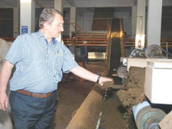 147 bin ton yaş çay yaprağı aldı