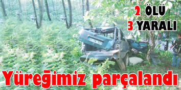 Şarampole devrildi