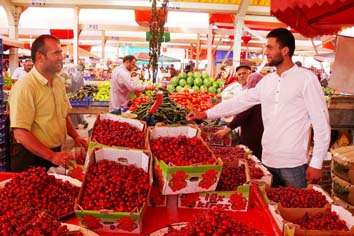 Yerli kiraza yoğun ilgi