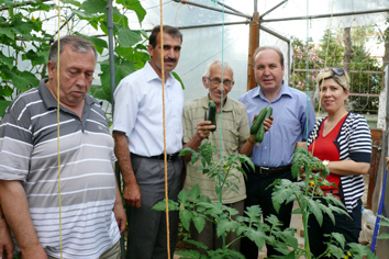 Yaşlılar serada sebze yetiştiriyor