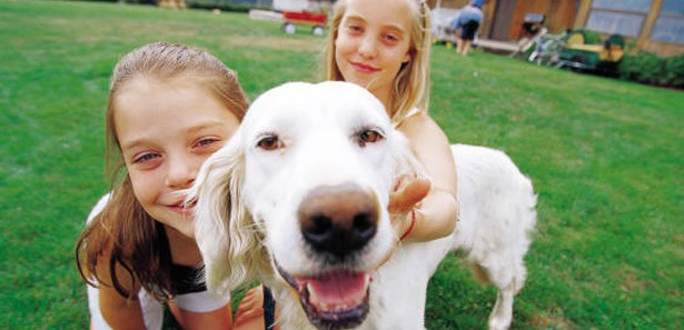 Dikkat! Komşunuz köpeğinizi öldürebilir