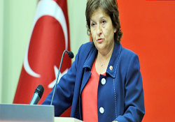 Güler: AK Parti'nin paşa gönlüne bağlı