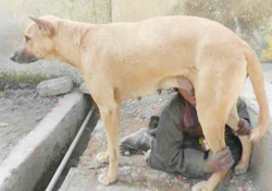 Aç kalan çocuğu köpek emzirdi!