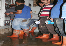 Çalık YEDAŞ  enerjisiz trafo bırakmadı