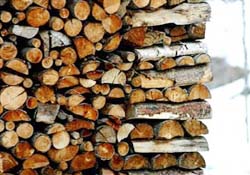 Ağaç ve orman ürünleri ihracatı sevindirdi