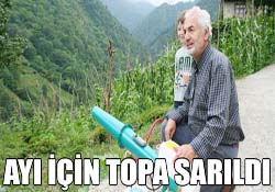 AYI İÇİN TOPA SARILDI