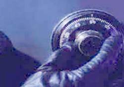 Aynı gün iki baskın iddiası