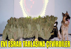 EVDE ESRAR YETİŞDİRDİLER