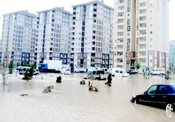 Bu kadarına da pes diyorum