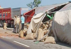 20 ton fındık yola saçıldı