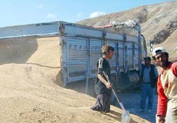 Buğday tarlada satın alınıyor