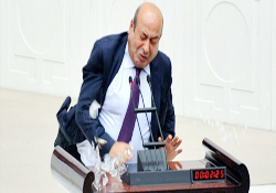 Bardak, Kaplan'a pahalıya mal oldu