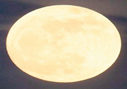 Aydan arsa aldılar!