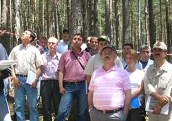 Kahveci, Ormanları yerinde inceledi