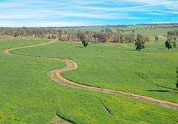 Atıl araziler ekonomiye kazandırılacak
