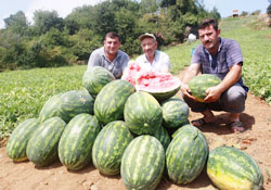 Burası Adana değil Trabzon