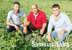 Özlenen tat üretimde
