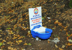 Sokak hayvanları için otomatik suluk