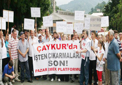 İşten atılan ÇAYKUR işçisi eylemde