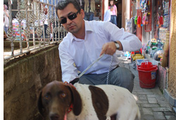 Köpeklere kene ilaçlaması
