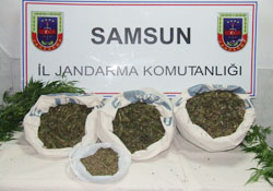 Jandarma'dan zehir tacirlerine büyük darbe